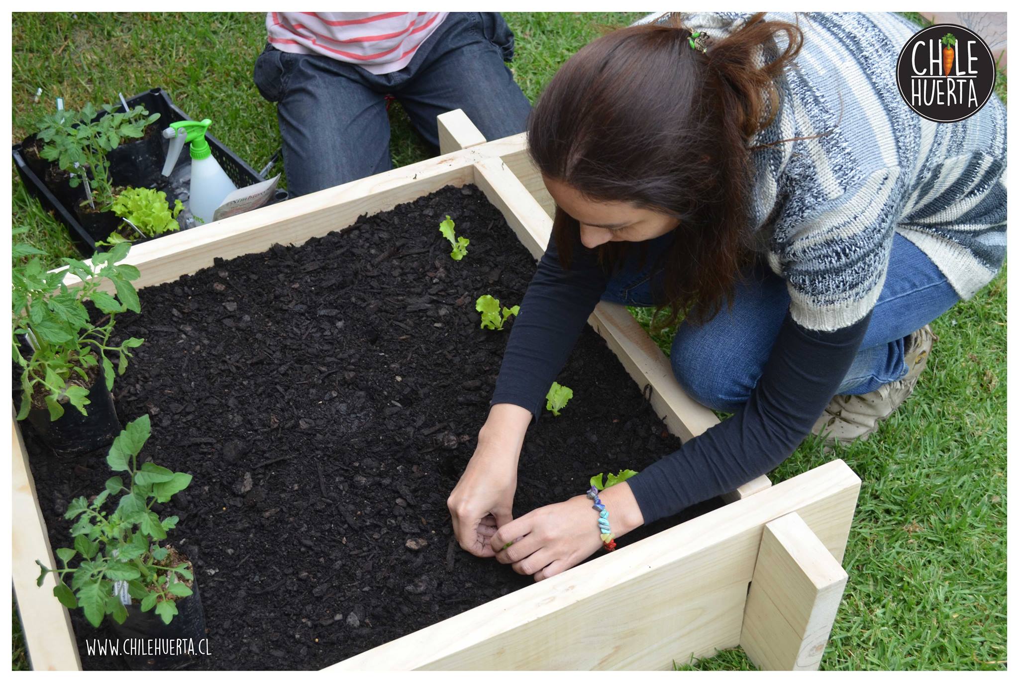 Huerta de Metro Cuadrado 12186678 936431689781958 4706597071315038319 o