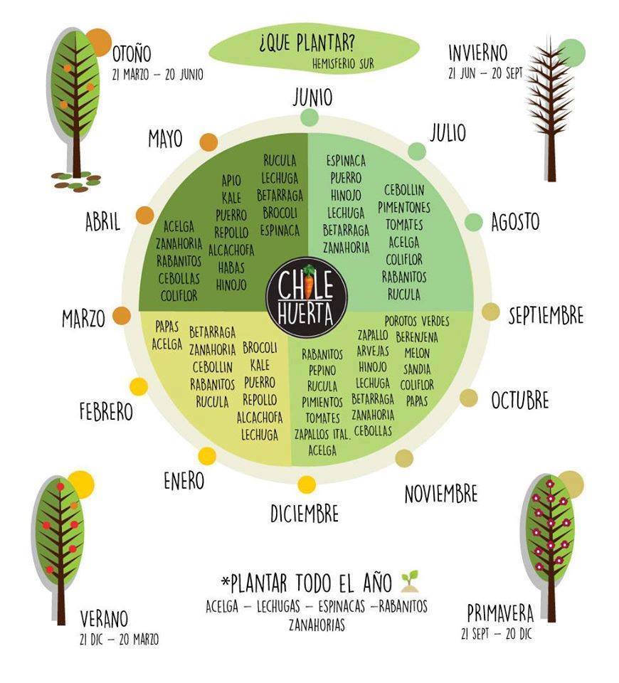 15747615 1245696728855451 218341006223545093 n