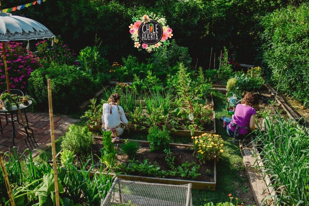 Taller Huerta 2 Slider