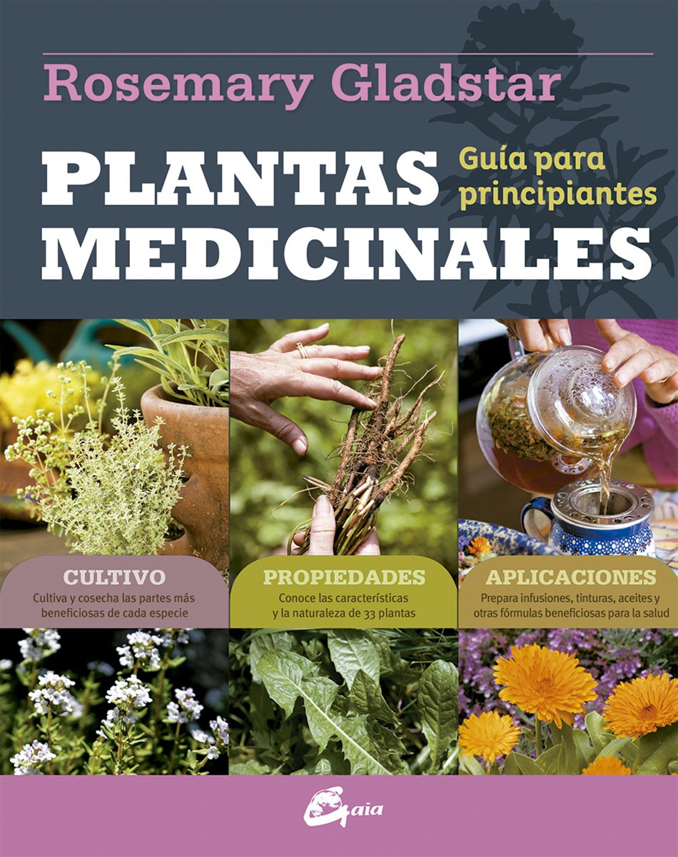 Picante Abastecer Generalizar Plantas Medicinales – Chile Huerta