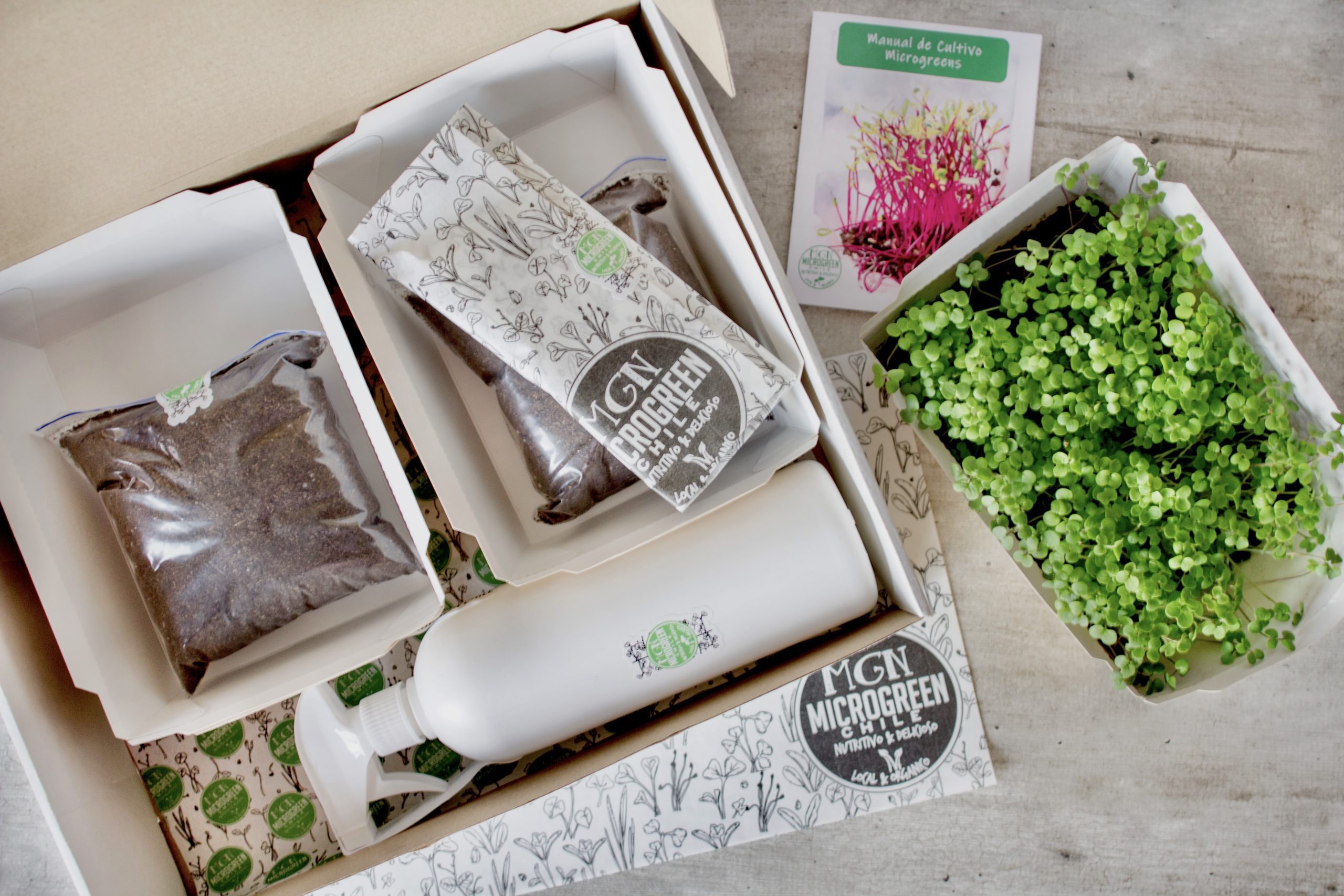 Kit Microgreen Kit Microgreen