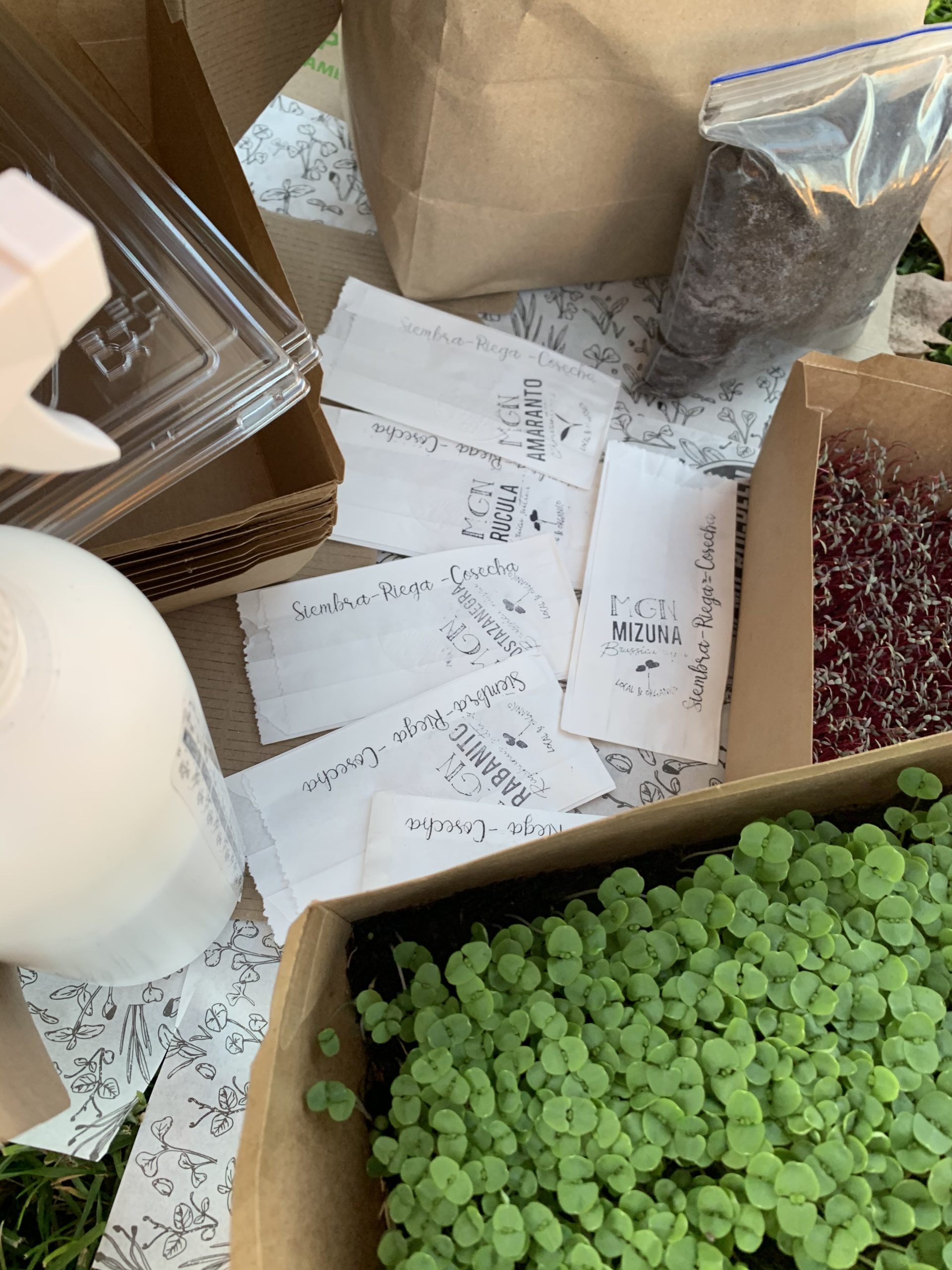 Kit Microgreen Kit Microgreen - Imagen 2