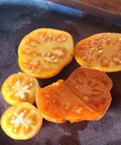 Alternative view of Semilla Tomate Naranja