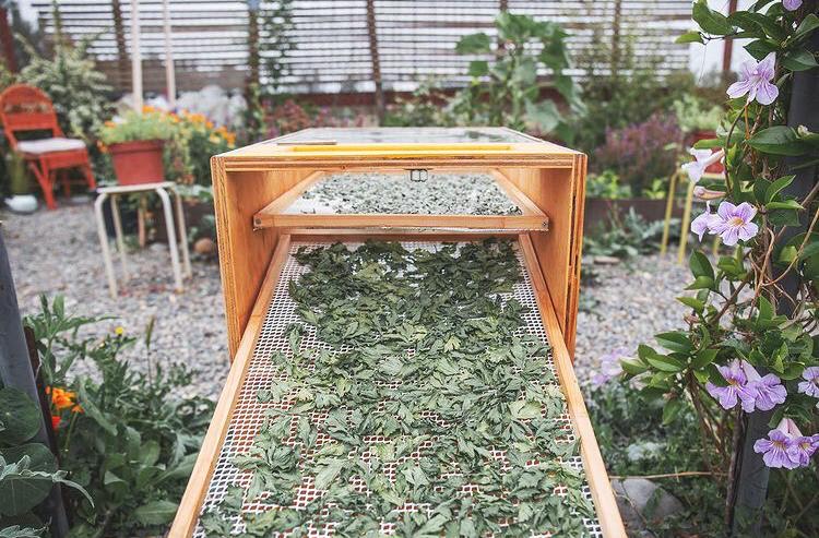 Construye tu Deshiratador Solar 3