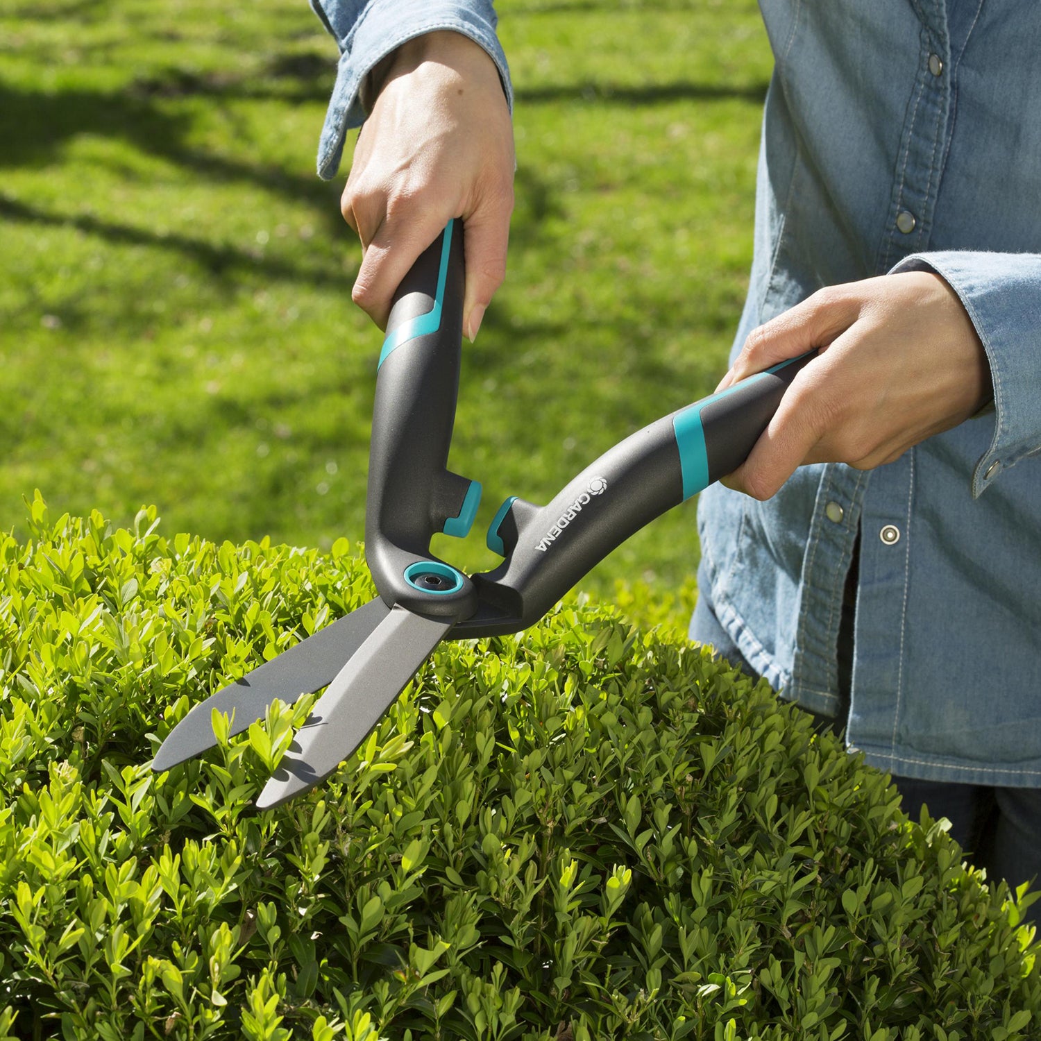 Cortasetos PrecisionCut Cortasetos PrecisionCut - Imagen 4