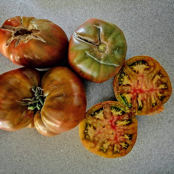 Semilla Tomate Piña Negro Semilla Tomate Piña Negro