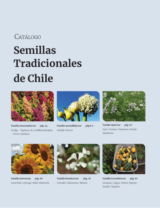 Catálogo Semillas Tradicionales de Chile - Imagen 3