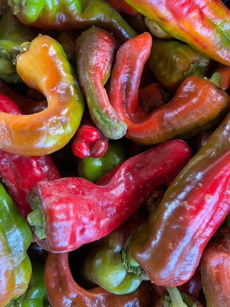 Semilla Pimiento Italiano Dulce Semilla Pimiento Italiano Dulce