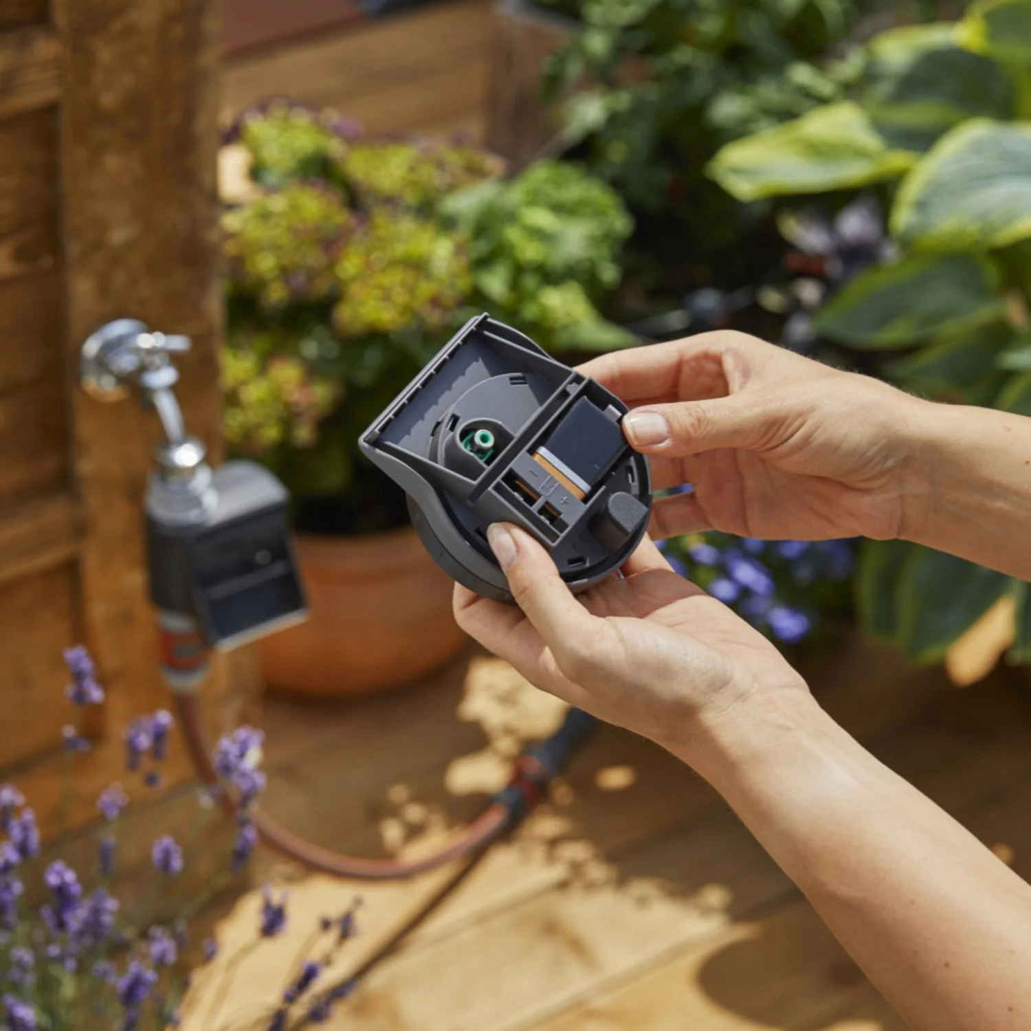 Programador de Riego Doméstico Programador de Riego Doméstico - Imagen 4