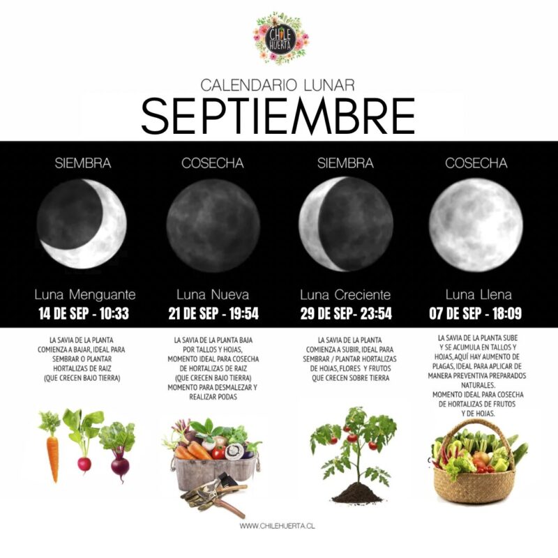 Septiembre: SIEMBRA Y LUNAS Calendario Lunar SEPTIEMBRE 2025