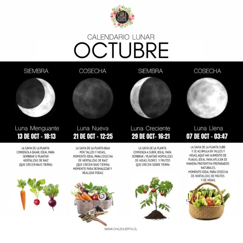 Calendario Lunar OCTUBRE 2025