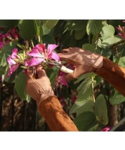 Guantes Largos Jardineria Guantes Largos 3
