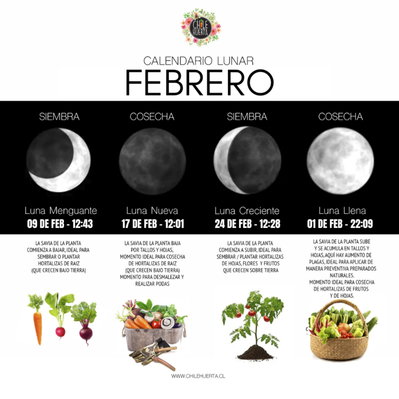 Febrero: SIEMBRA y LUNAS Calendario Lunar FEBRERO 2026