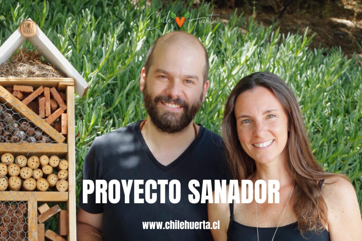 Chile Huerta en Revista VD: "Proyecto Sanador" Entrevista Chile Huerta en VD