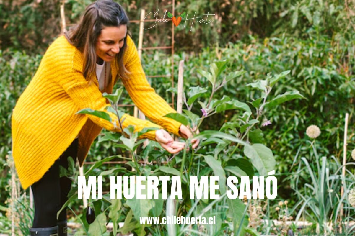 Mi huerta me sanó Entrevista en La Tercera