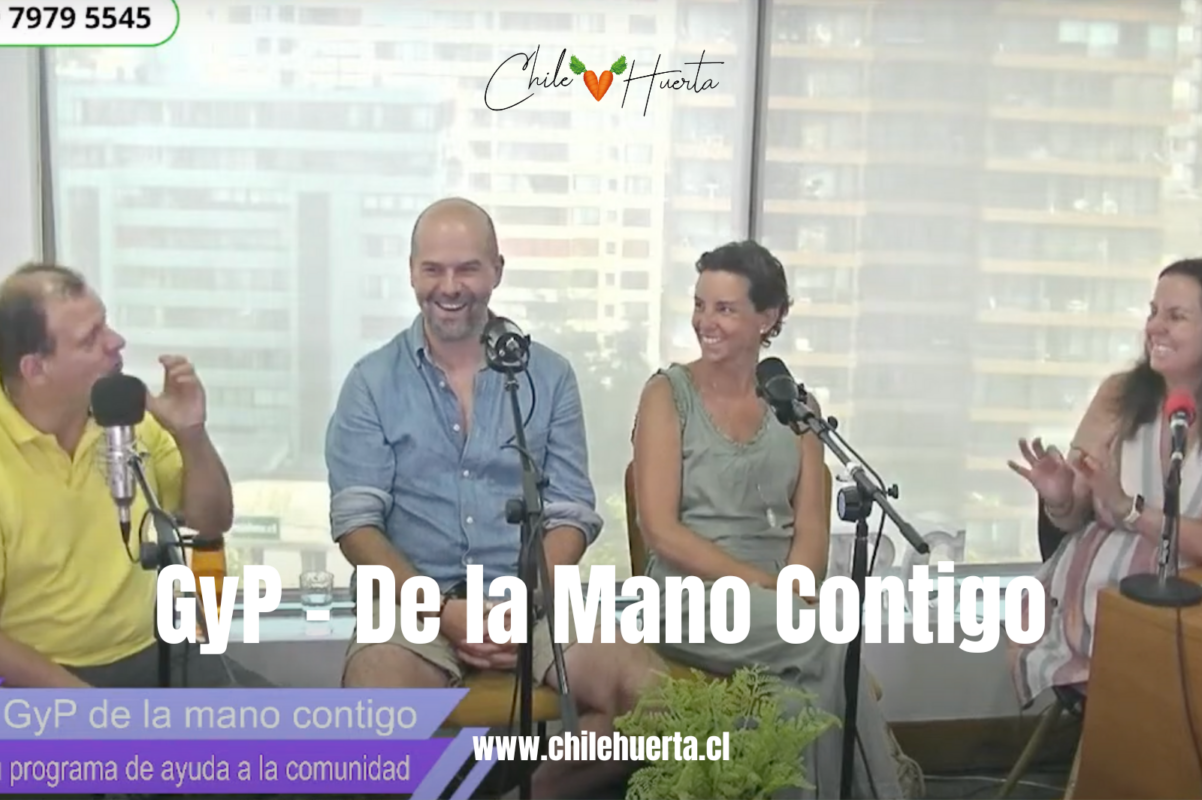 GyP - De la mano contigo GyP de la mano contigo