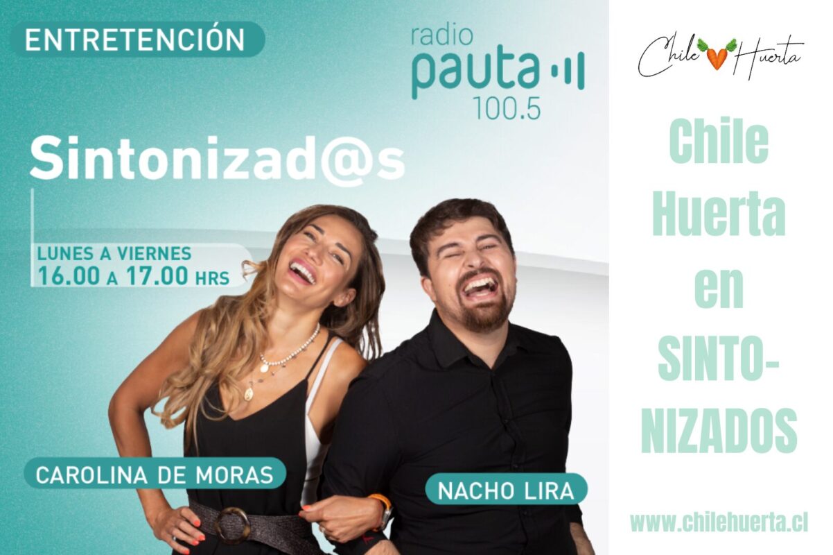 Chile Huerta en Sintonizados Sintonizados