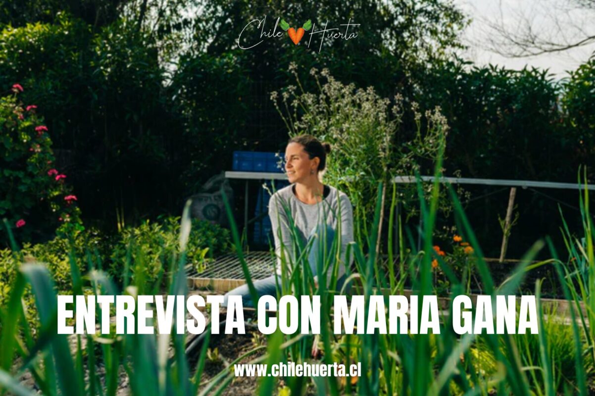 Entrevista con Maria Gana Entrevista con Maria Gana