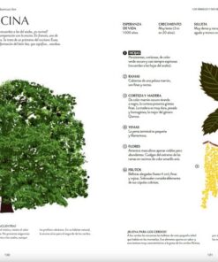 Alternative view of Los Arboles y sus Secretos