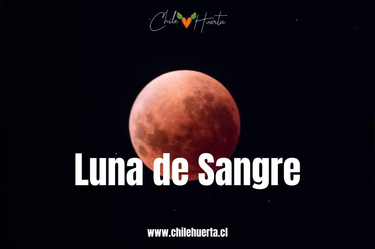 Luna de Sangre Luna de Sangre