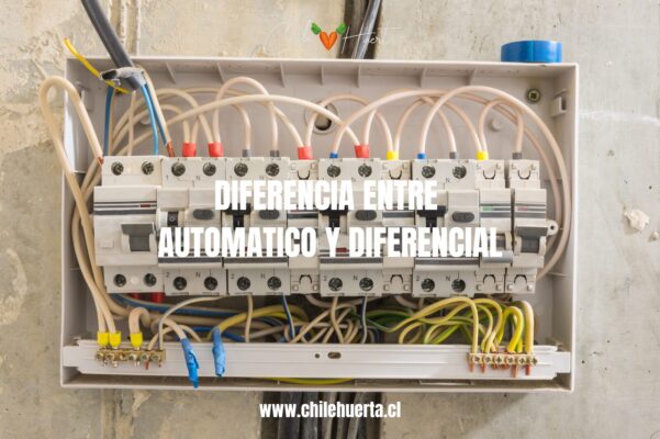 Diferencia entre Automatico y Diferencial