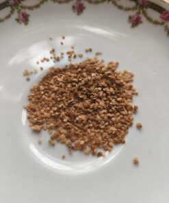 Alternative view of Semilla Papa Pukara