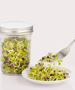 Set para Germinar Semillas 2