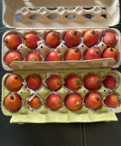 Semilla Tomate de Arbol Tomate de Arbol 2