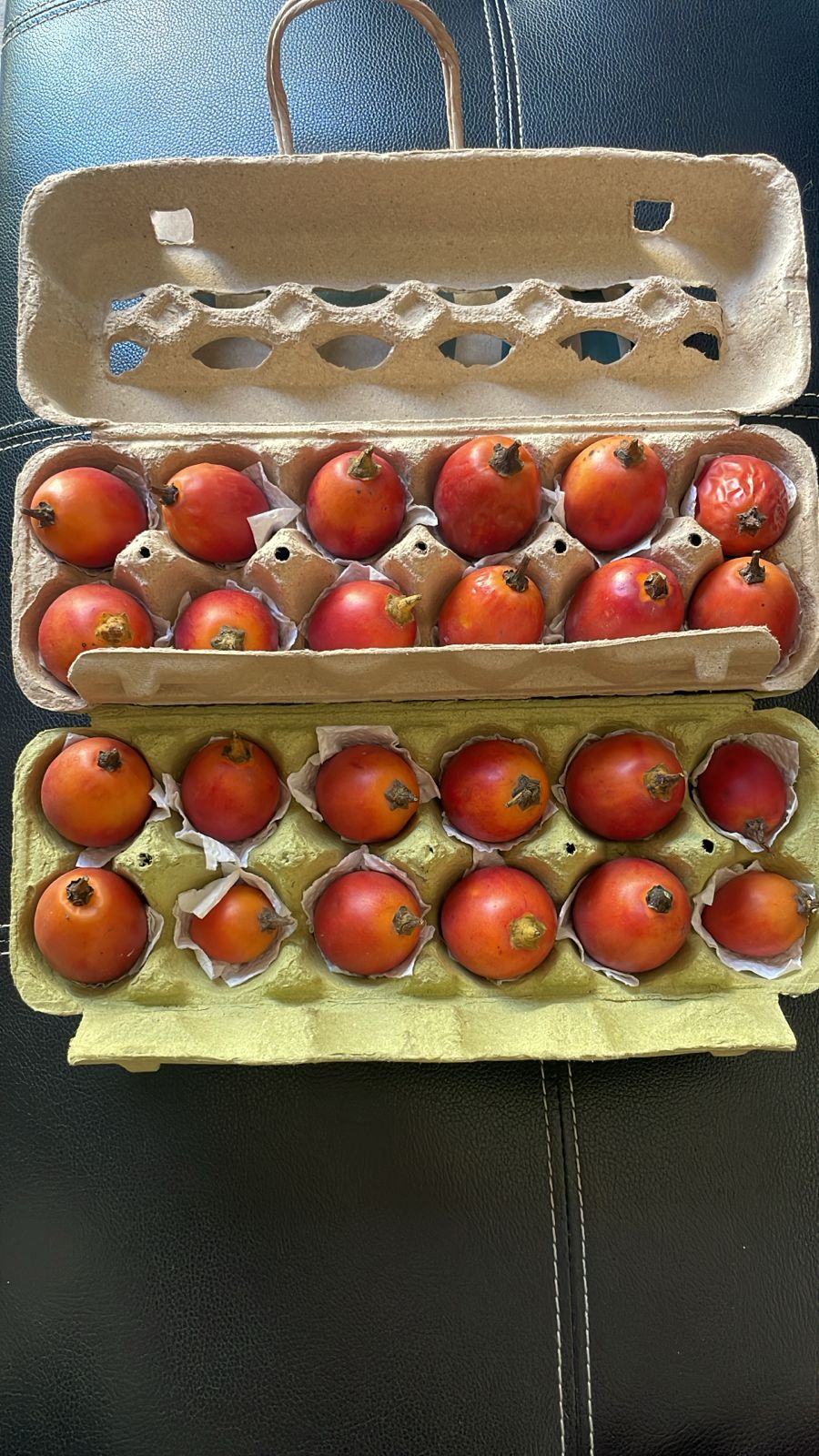 Semilla Tomate de Arbol Semilla Tomate de Arbol - Imagen 2