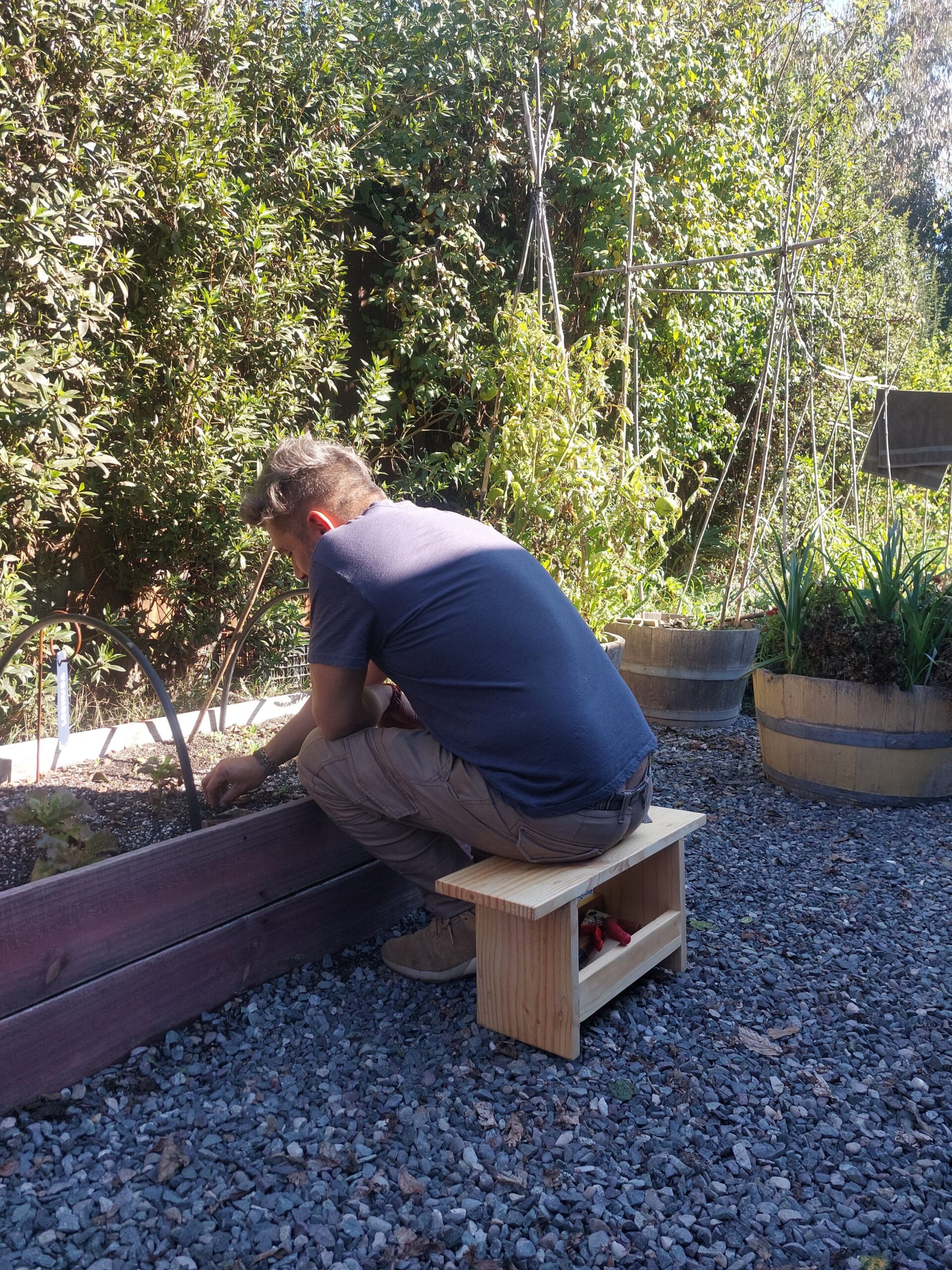 Banco de Huerta Banco de Huerta - Imagen 3