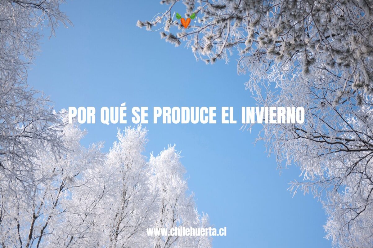 ¿Por qué se produce el invierno? Por que se produce el invierno