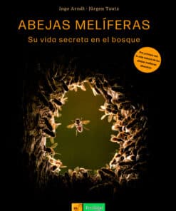 Abejas Melíferas