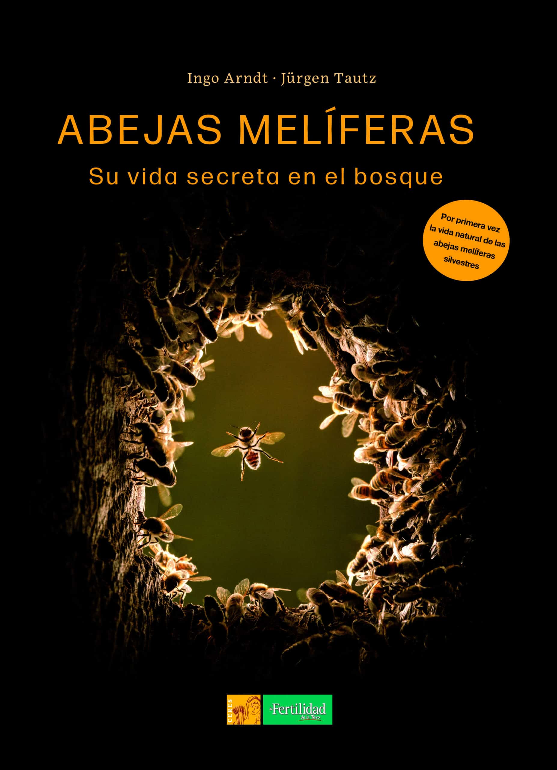 Abejas Melíferas Abejas Melíferas