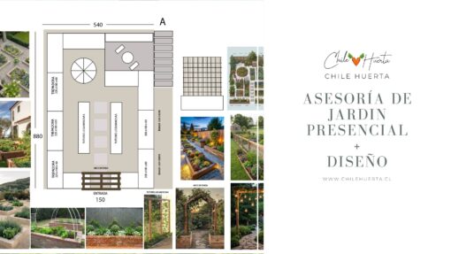 Asesoria y Diseno