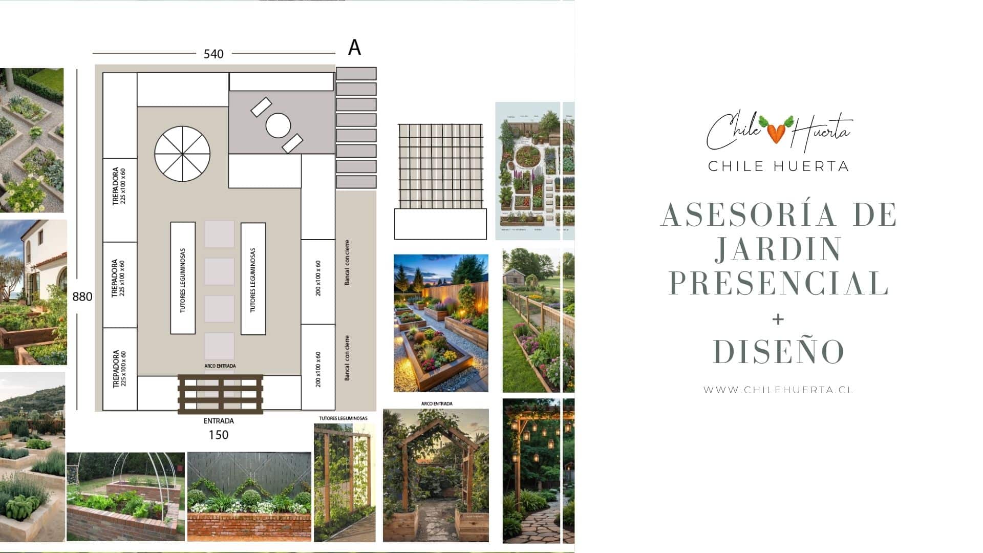 Asesoría de Jardín Presencial + Diseño Asesoría de Jardín Presencial + Diseño