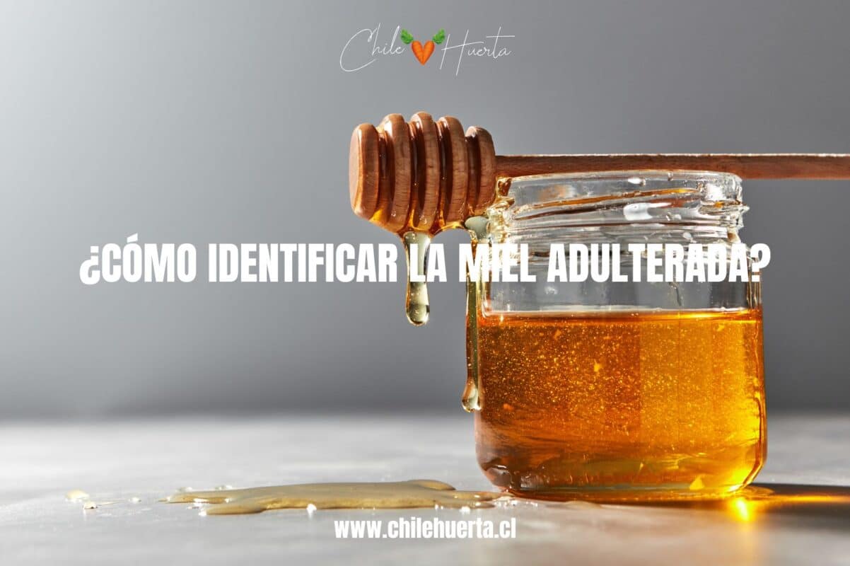 Cómo Identificar Miel Auténtica: Guía Práctica y Consejos Como identificar la miel adulterada