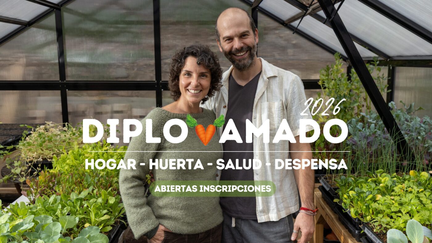 DiploAmado 2026 Main