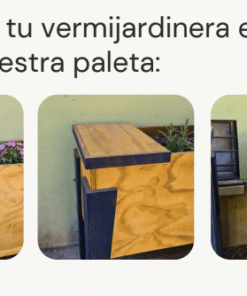 Vermihuerta Vermihuerta 3