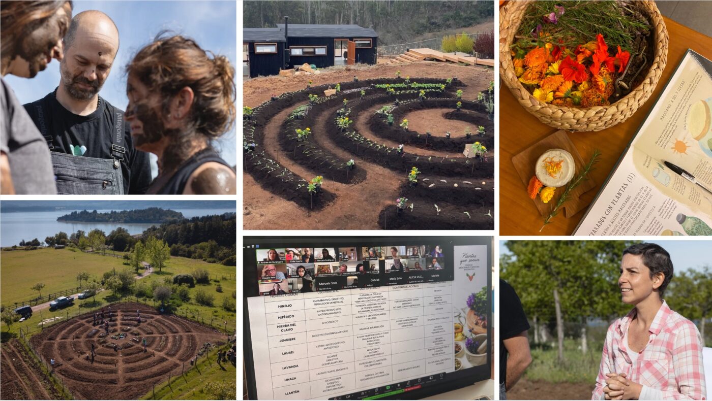 DiploAmado 2026 Collage