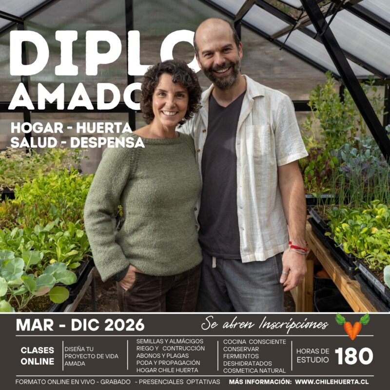DiploAmado 2026