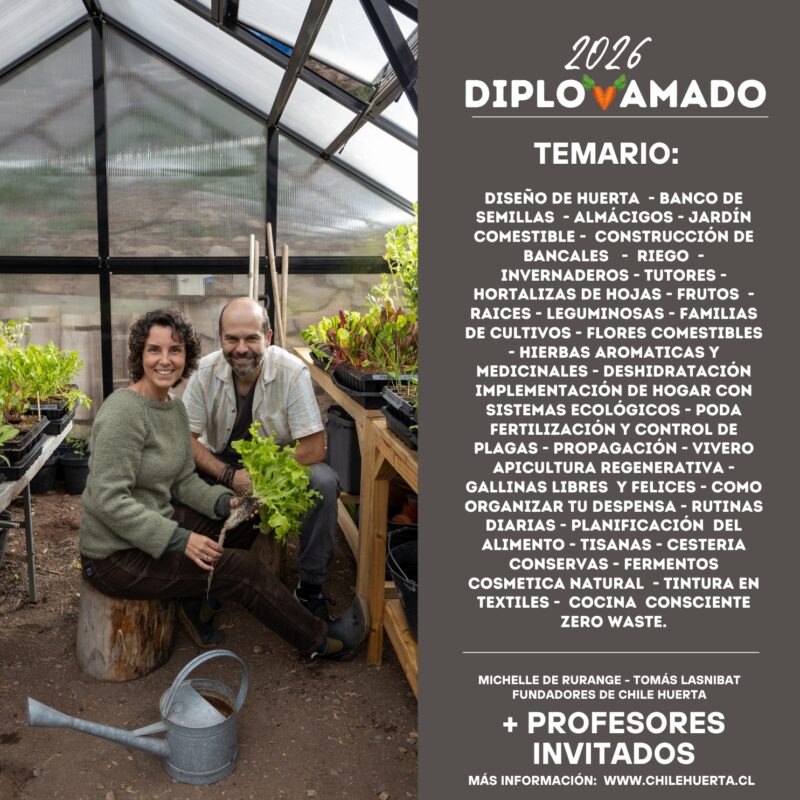 DiploAmado 2026 Promo 3