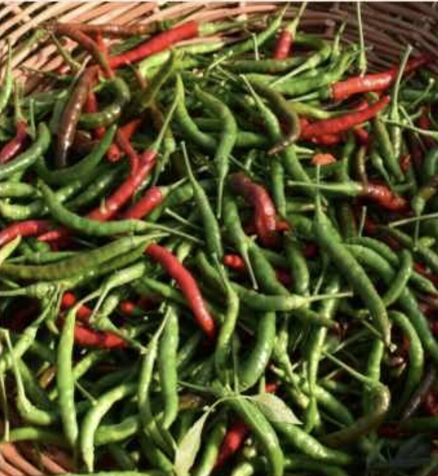 Semilla Aji Fosforito Semilla Aji Fosforito