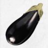 Semilla Berenjena Black Beauty Semilla Berenjena Black Beauty