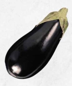 Semilla Berenjena Black Beauty