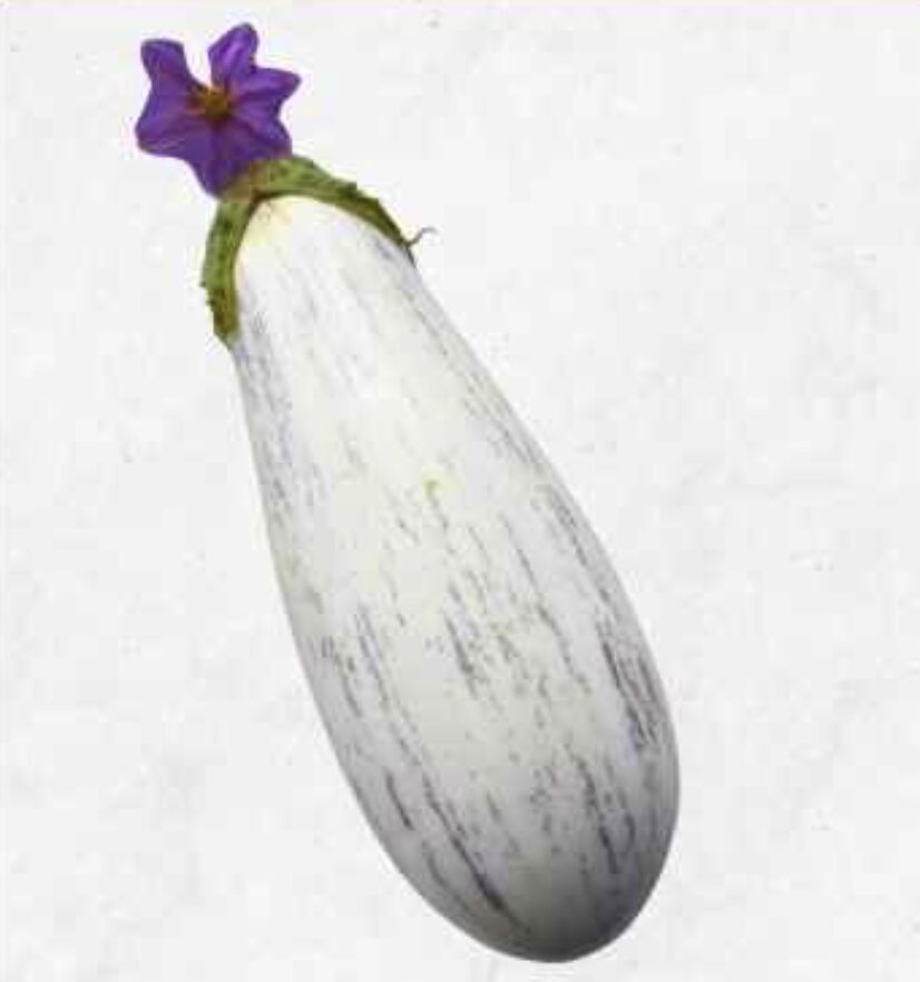 Semilla Berenjena Rayona Semilla Berenjena Rayona