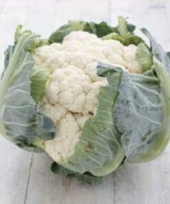 Semilla Coliflor Maravilla 4 Estaciones