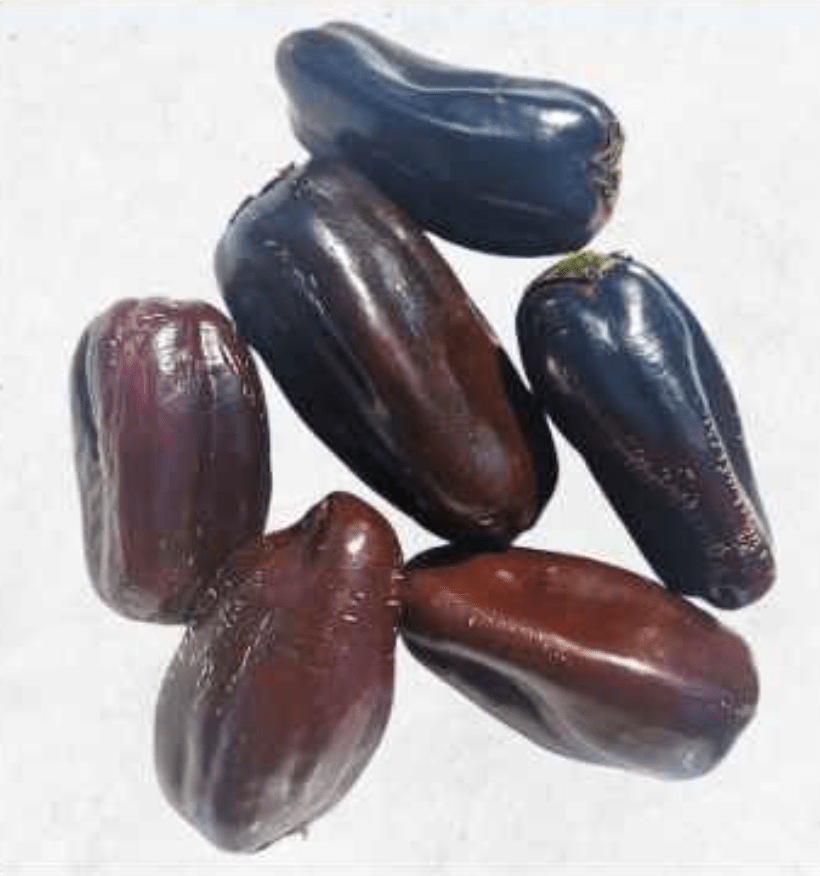 Semilla Pimiento Datil Semilla Pimiento Datil