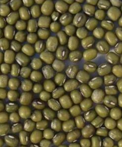 Semilla Poroto Mung
