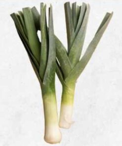Semilla Puerro Monstruoso