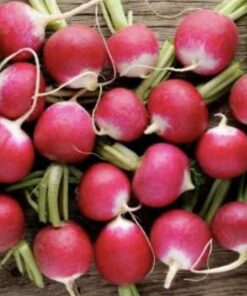 Semilla Rabanito Redondo Punta Blanca